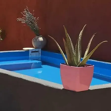 Violetas Casa rural