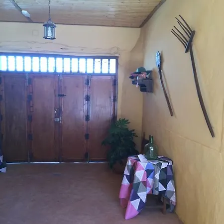 Violetas Villanueva De Los Infantes