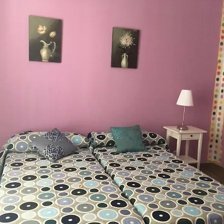 Violetas Casa rural Villanueva De Los Infantes